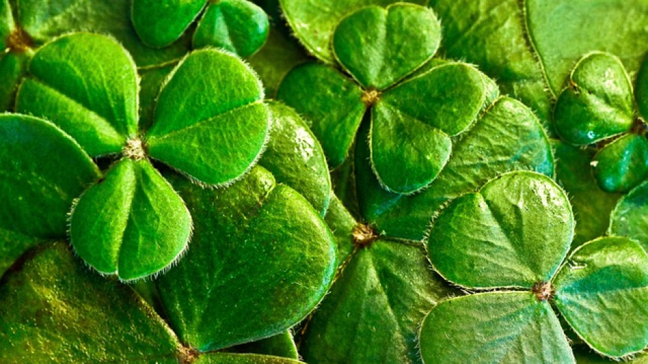 Briga Novarese, nel fine settimana 